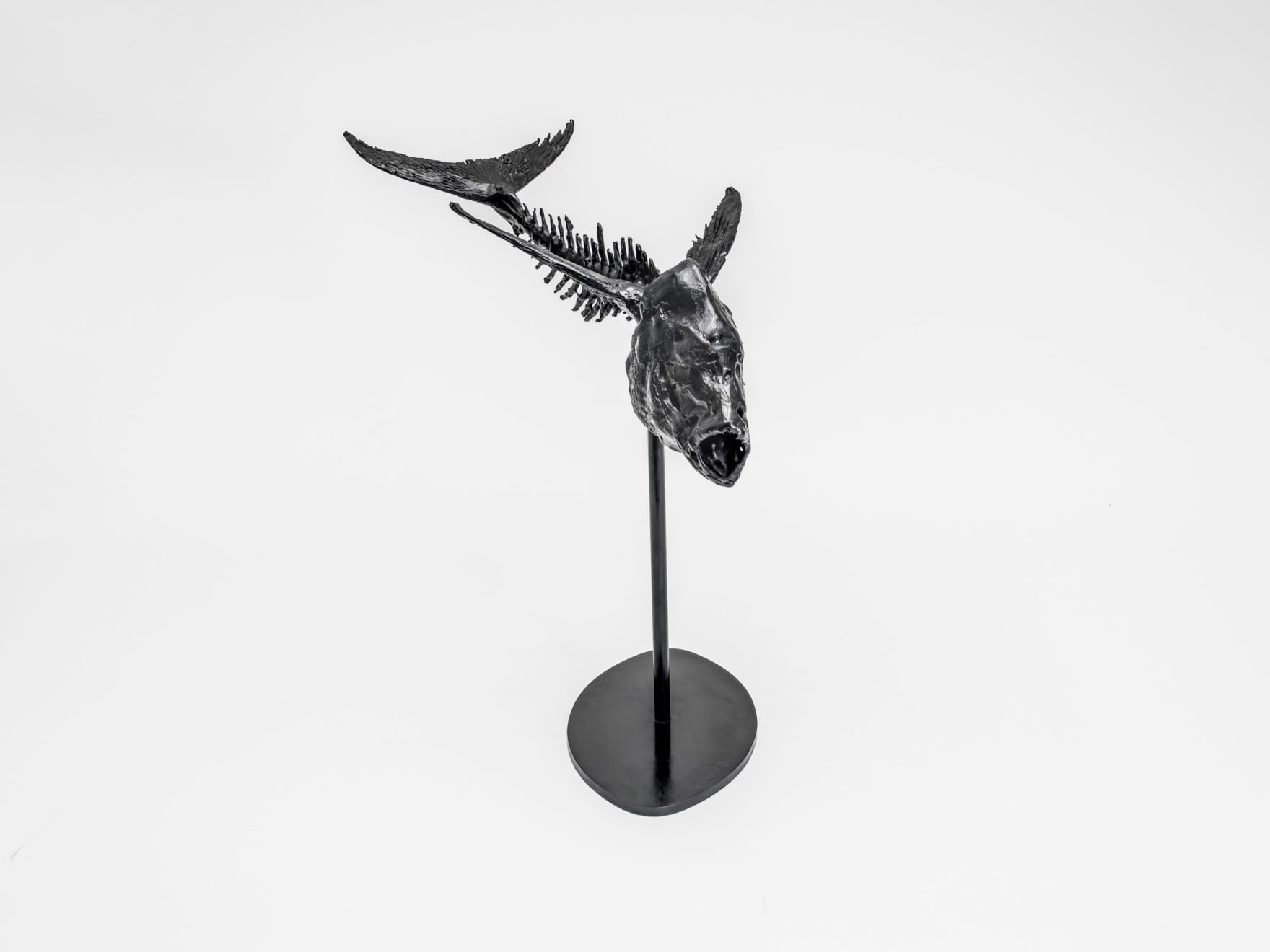 Abigail Fallis, Exorcet