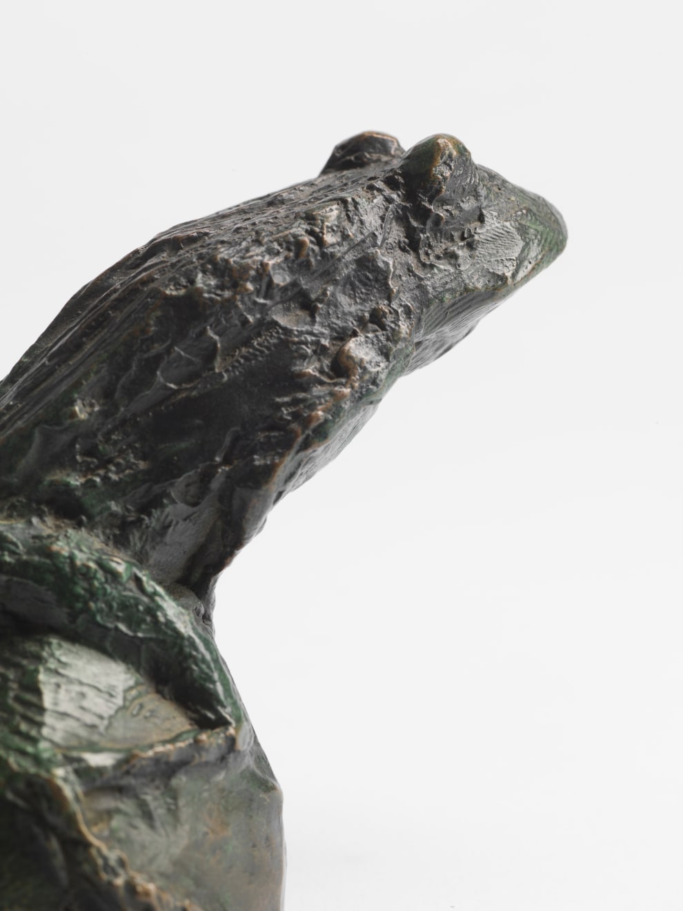 Charlotte Mayer, Frogs, c.1980