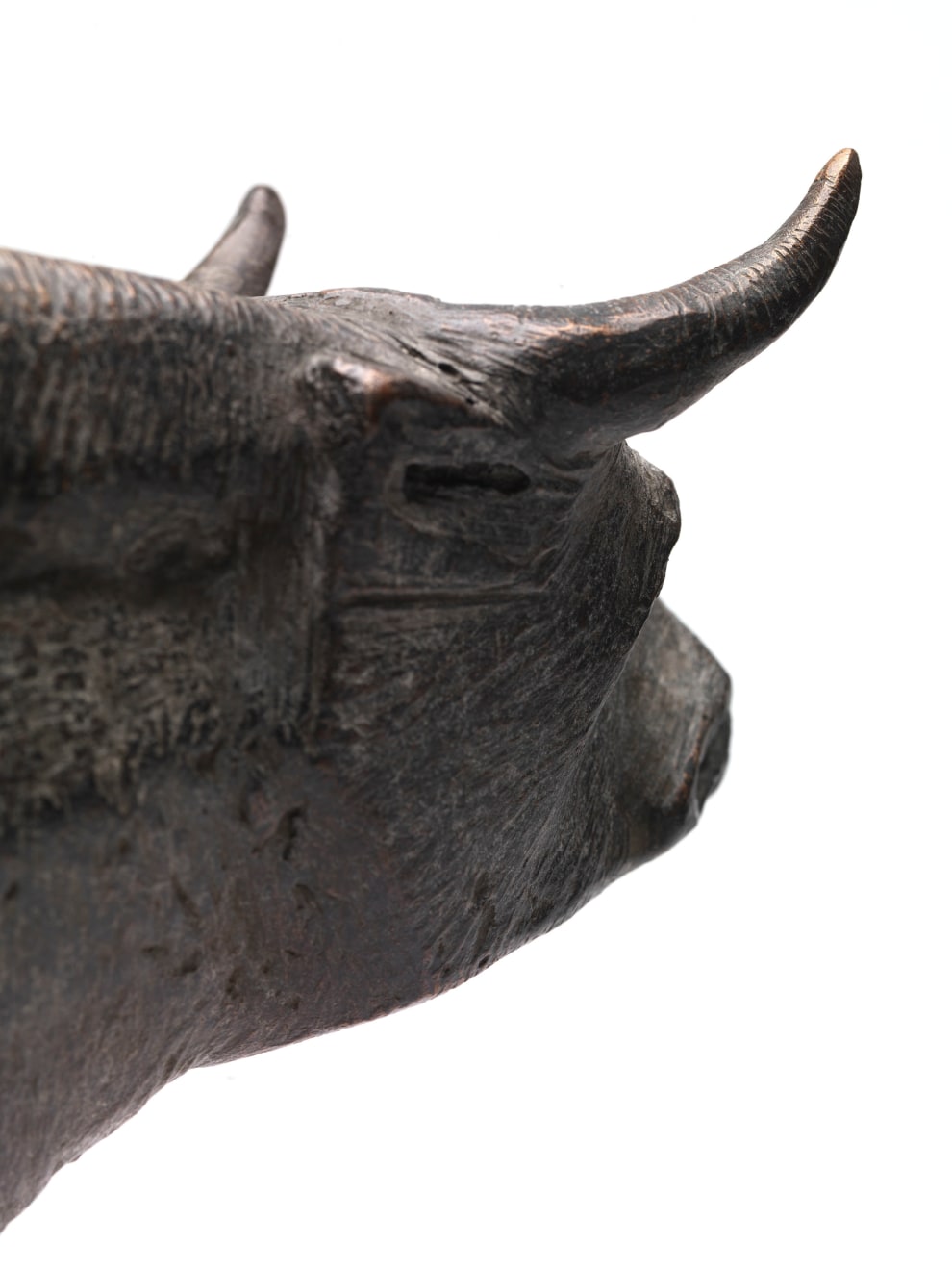 Terence Coventry, Turning Bull, 1996