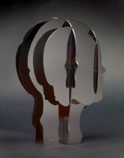 Abigail Fallis, Stainless Steel Head, 2010