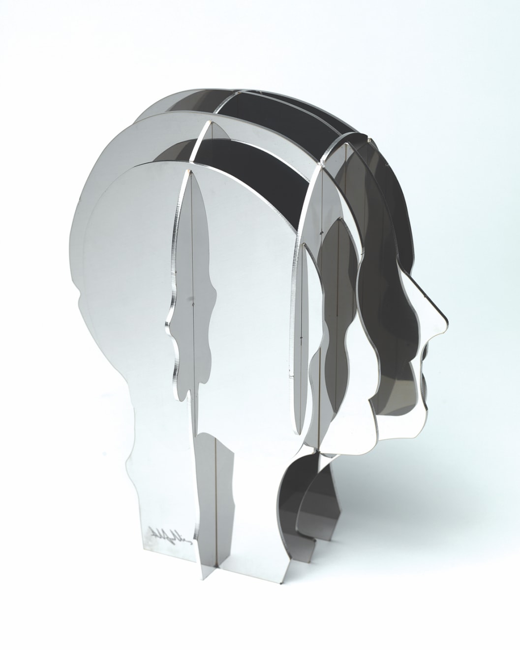 Abigail Fallis, Stainless Steel Head, 2010