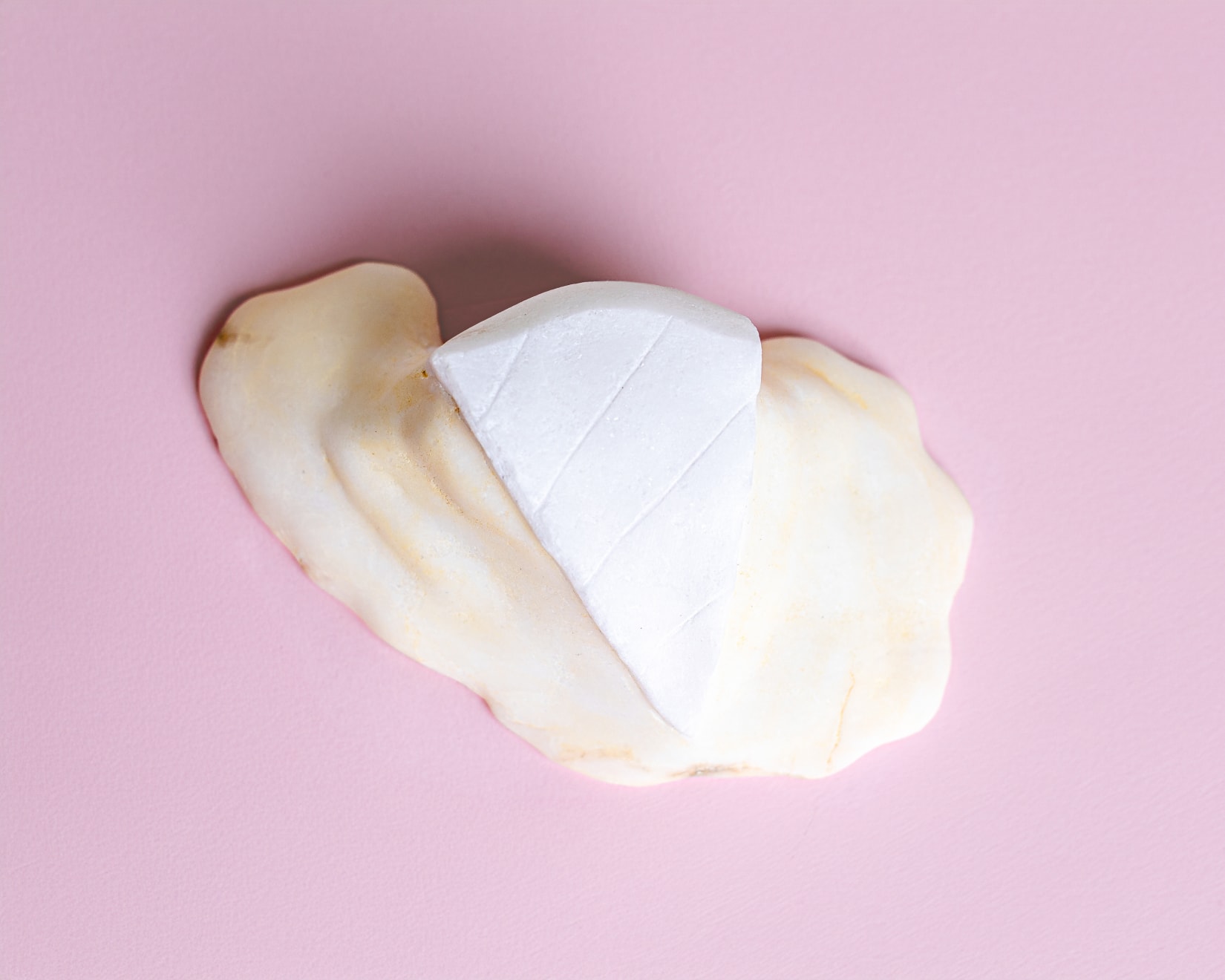 Roya Bahram, Brie (left out in the sun), 2023