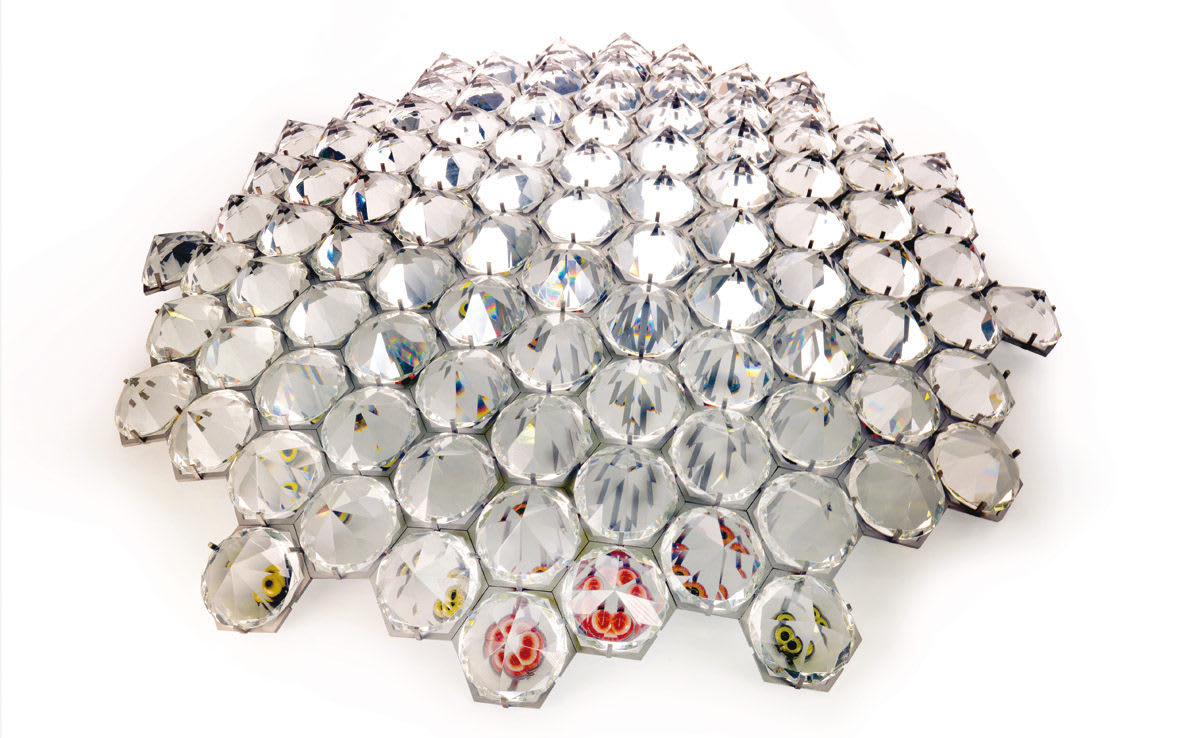 Abigail Fallis, Looking Glass, 2010