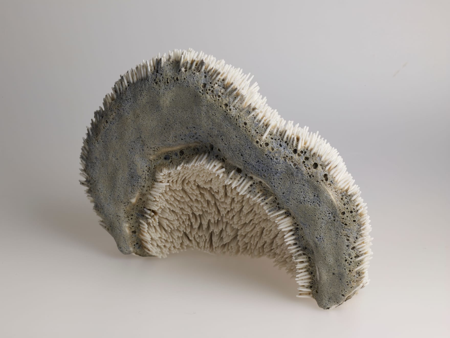 Josefina Isaza, La Cuevona, 2019