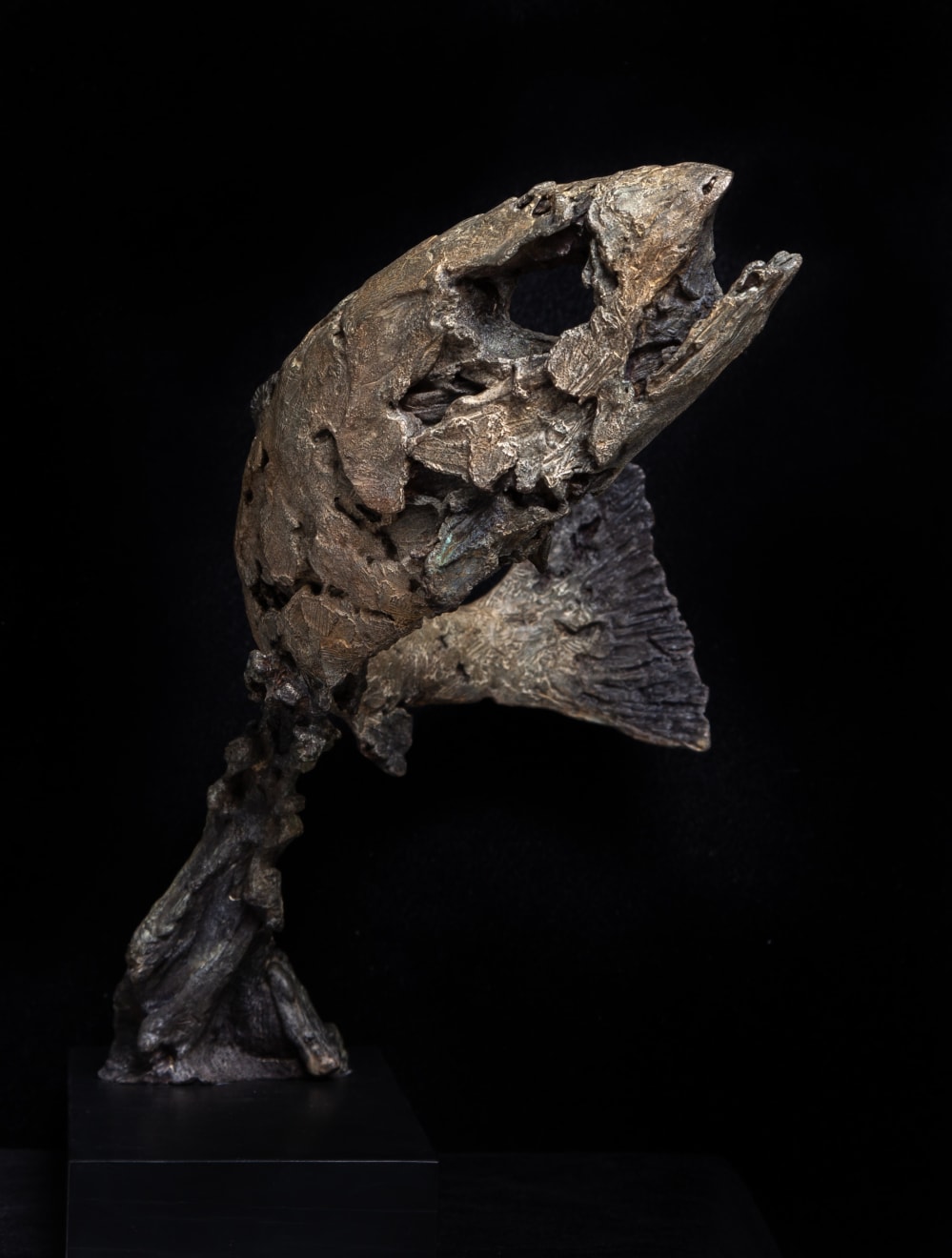 Joseph Paxton, Eocene, 2011