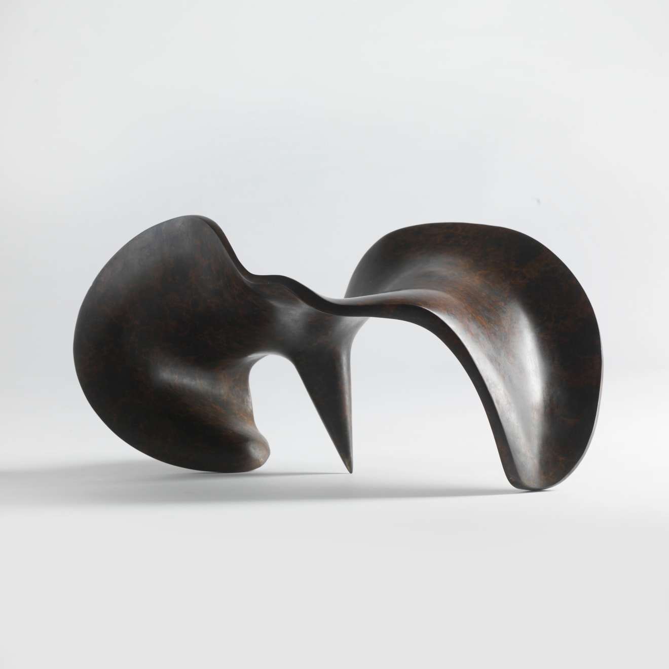 Eilis O'Connell, Cone W, 2014