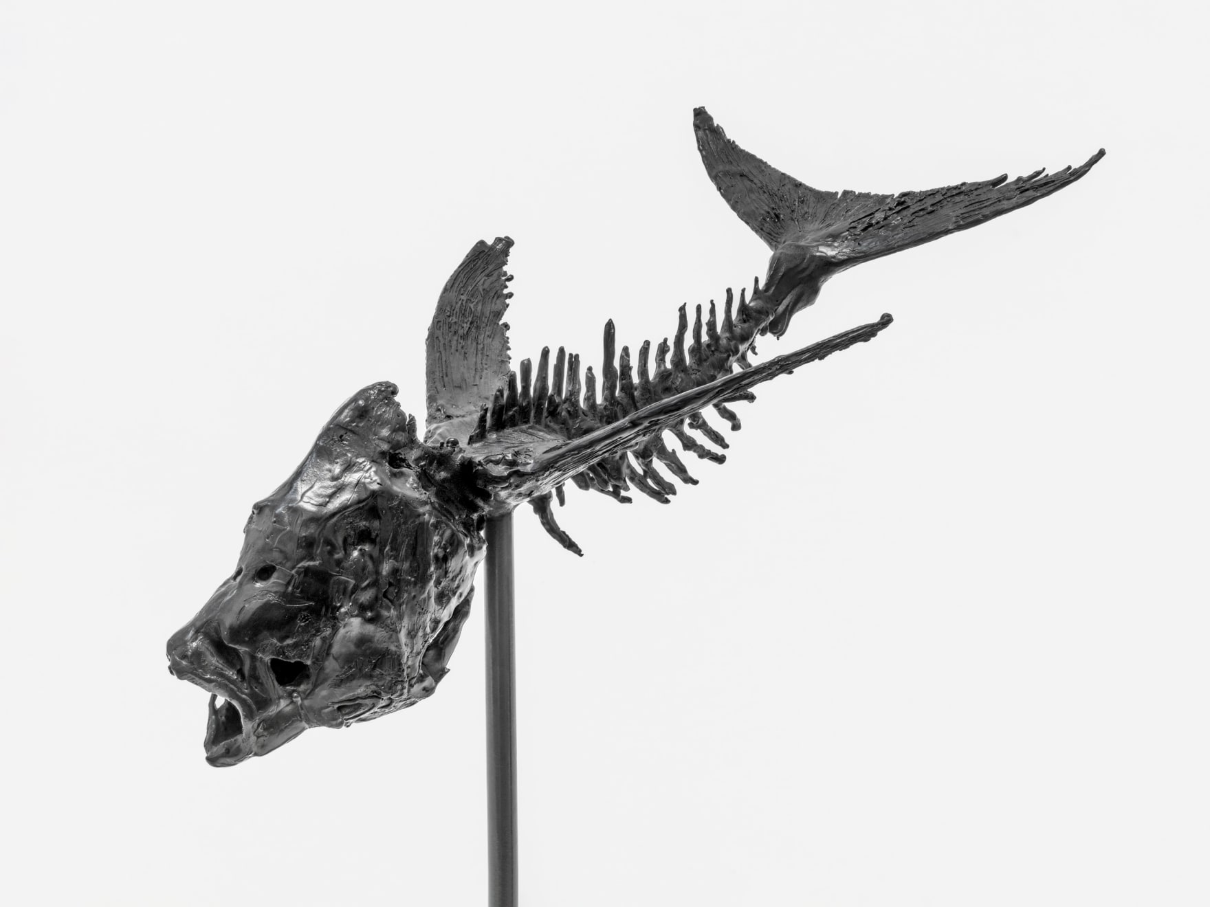 Abigail Fallis, Exorcet