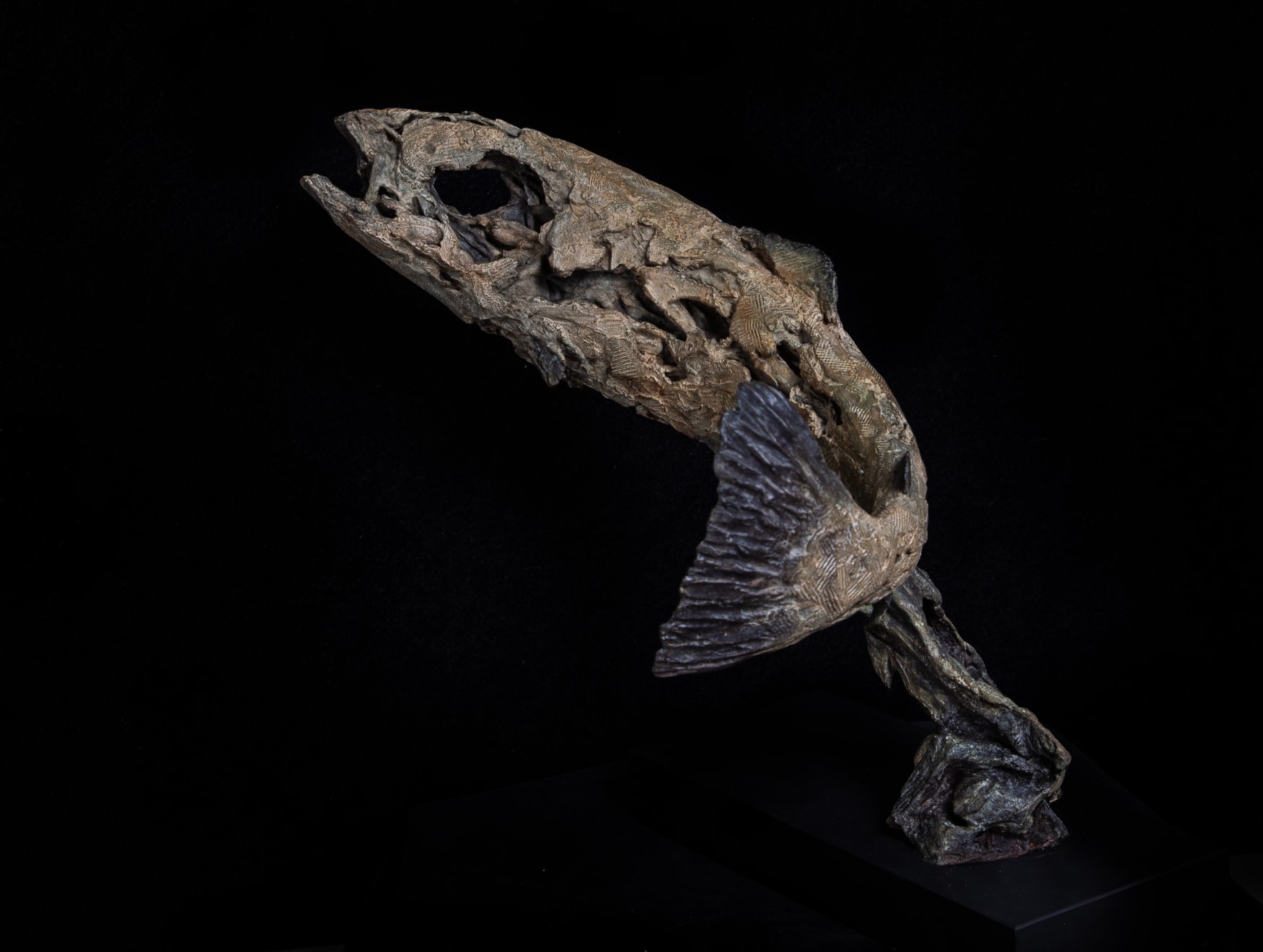 Joseph Paxton, Eocene, 2011