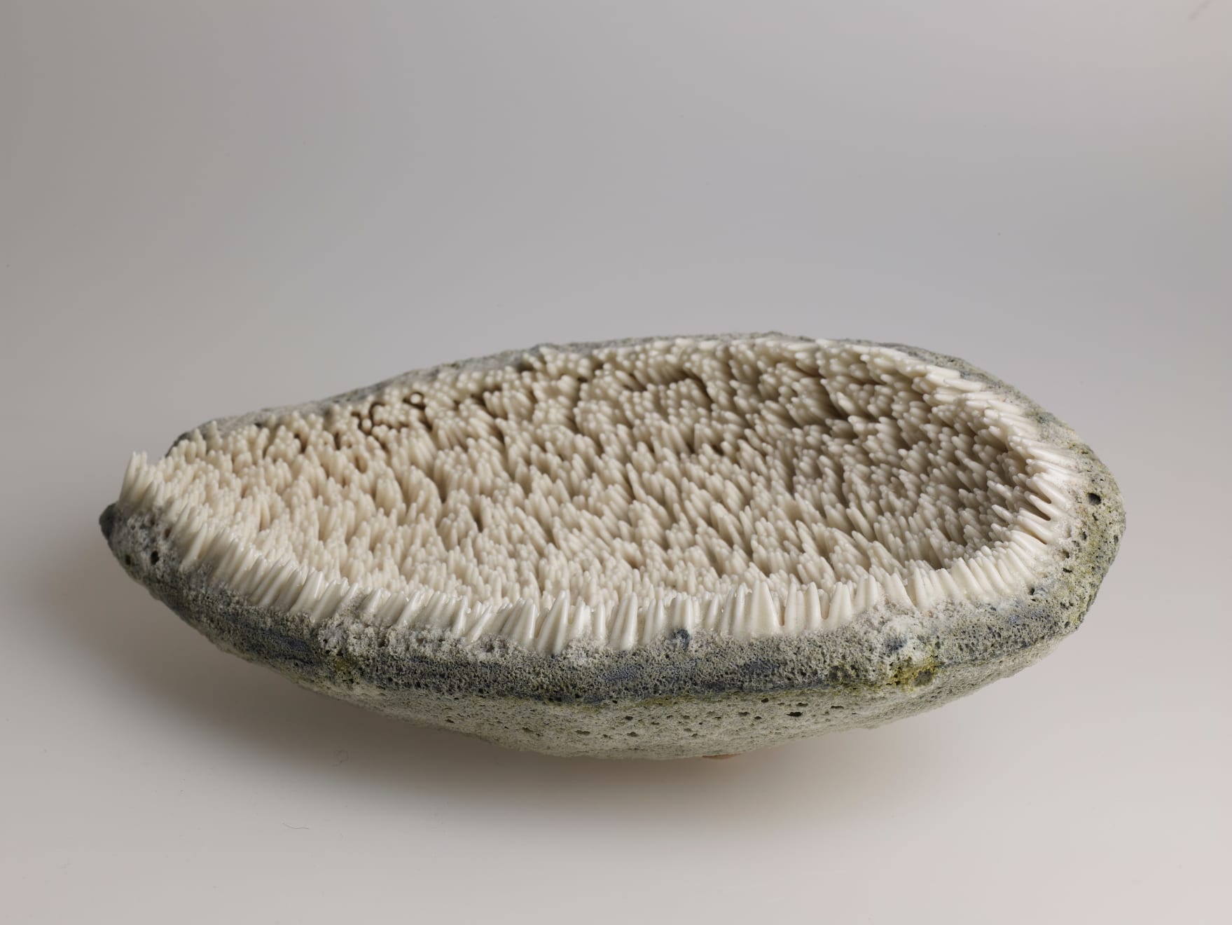 Josefina Isaza, Burr, 2019