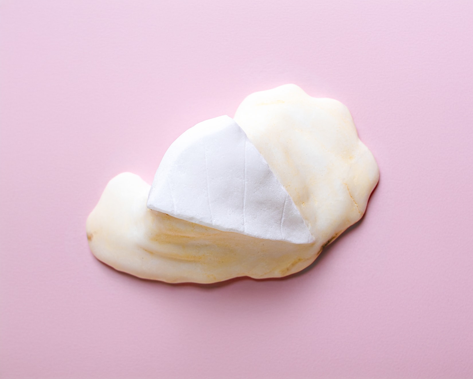 Roya Bahram, Brie (left out in the sun), 2023