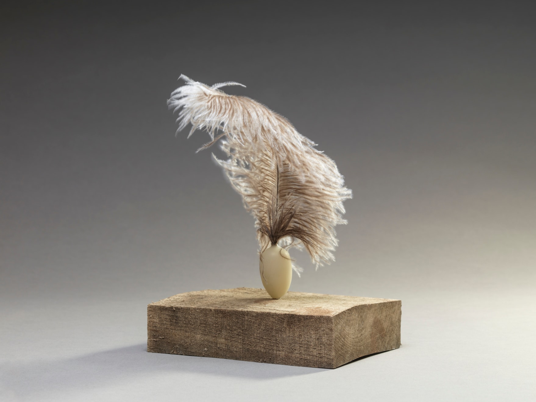 Susie MacMurray, En Pointe, 2024