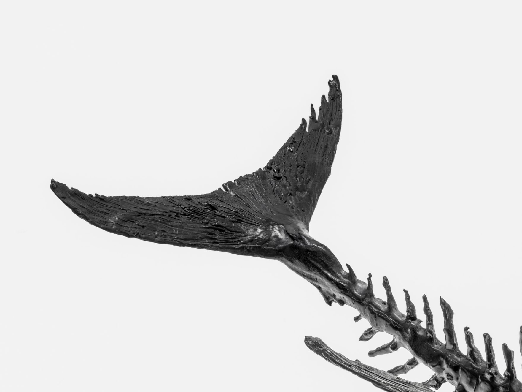 Abigail Fallis, Exorcet