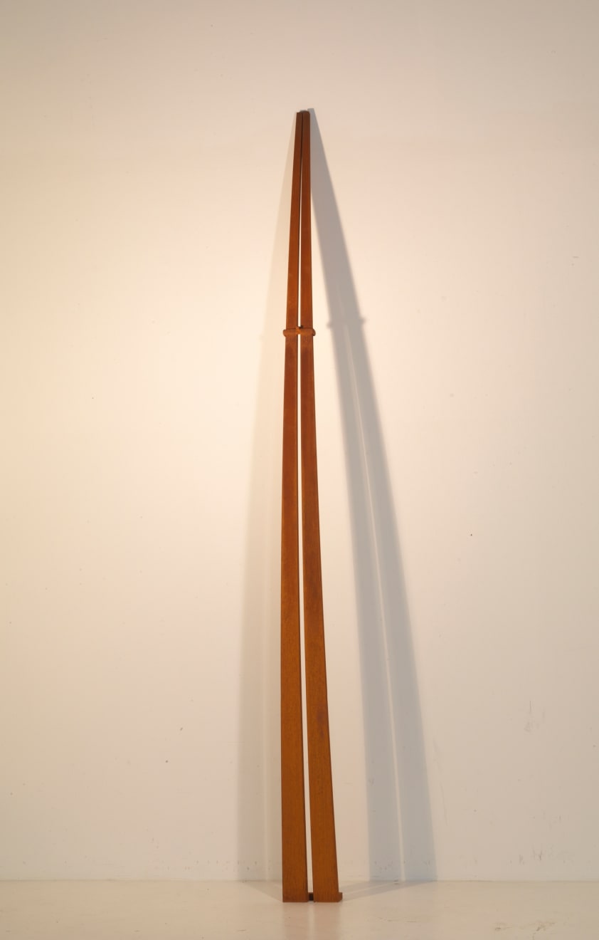 Ann Christopher RA, Restless Shadow, 2013