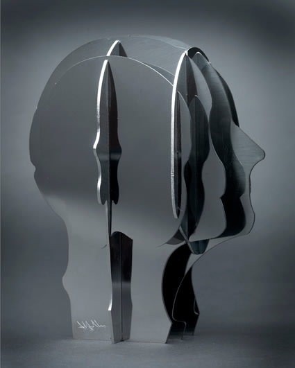 Abigail Fallis, Stainless Steel Head, 2010