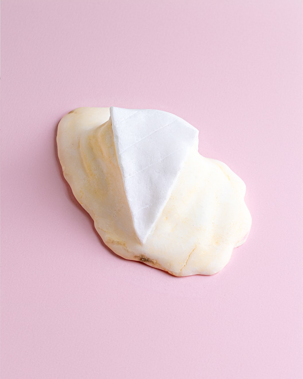 Roya Bahram, Brie (left out in the sun), 2023