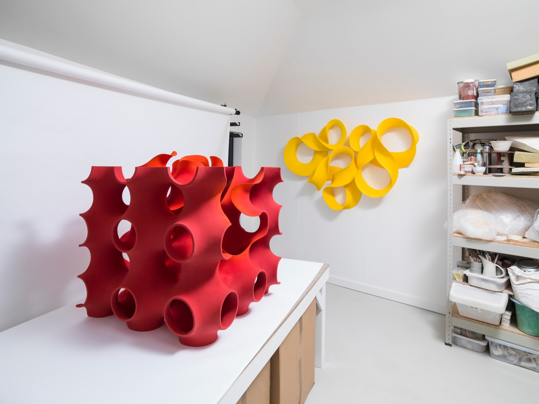 Merete Rasmussen, Evolve, 2019