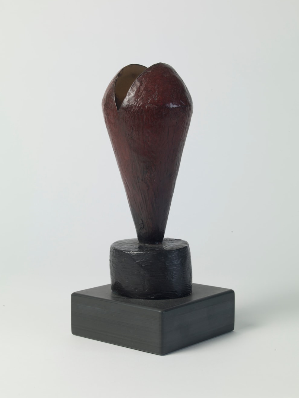 Breon O'Casey, Abstract Plant III, 2010