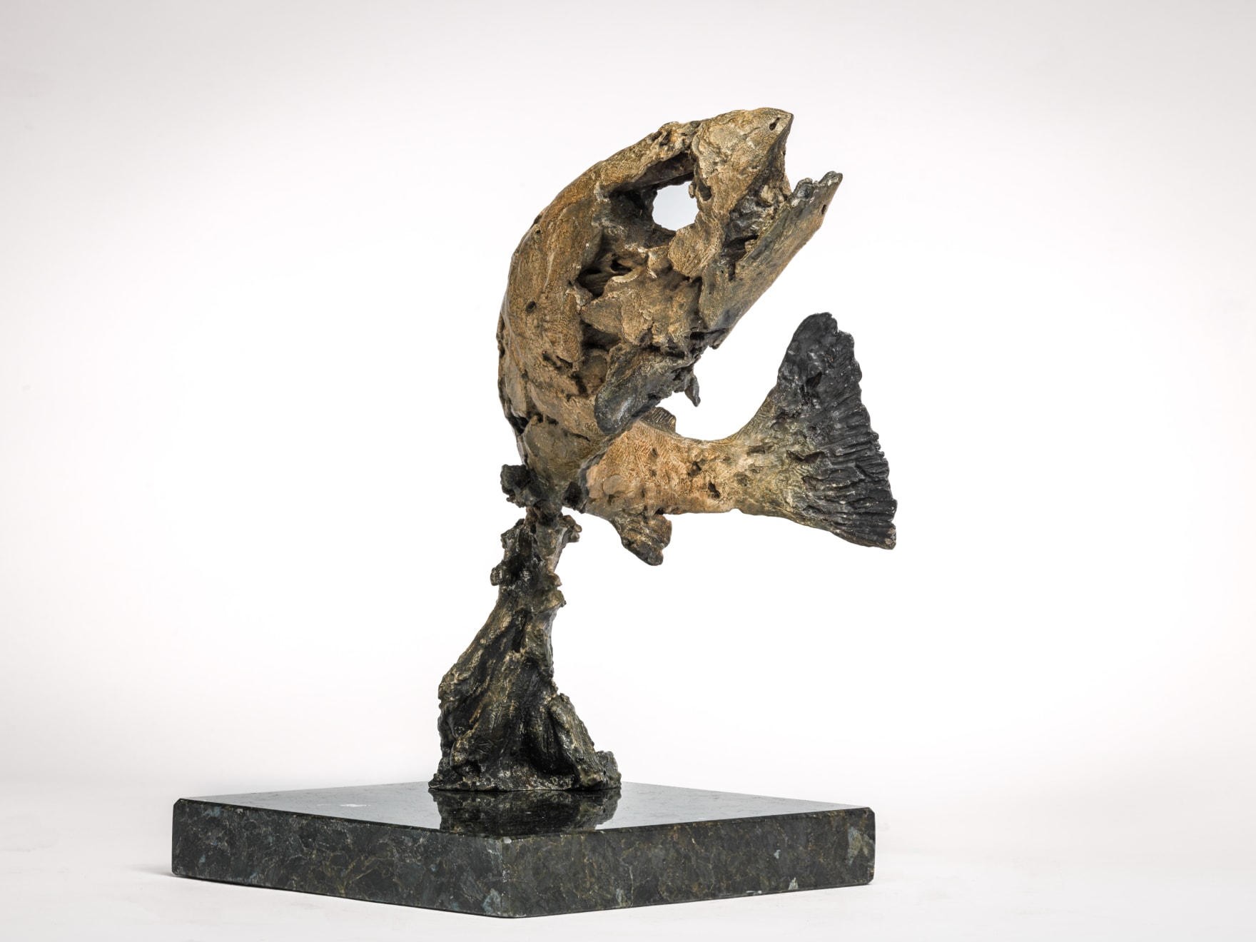 Joseph Paxton, Eocene, 2011