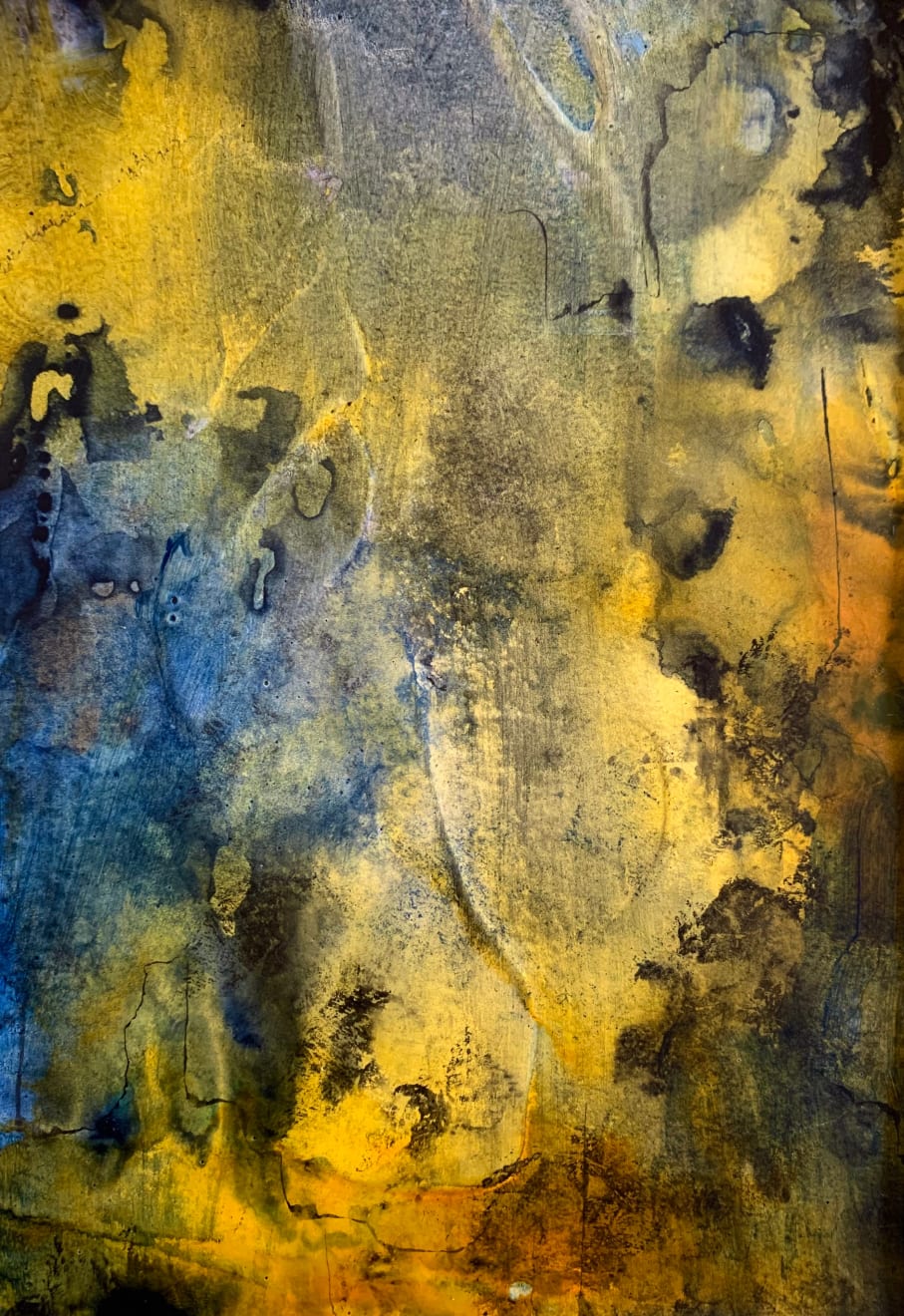 Tatiana Cabrera, Point Lobos, 2024
