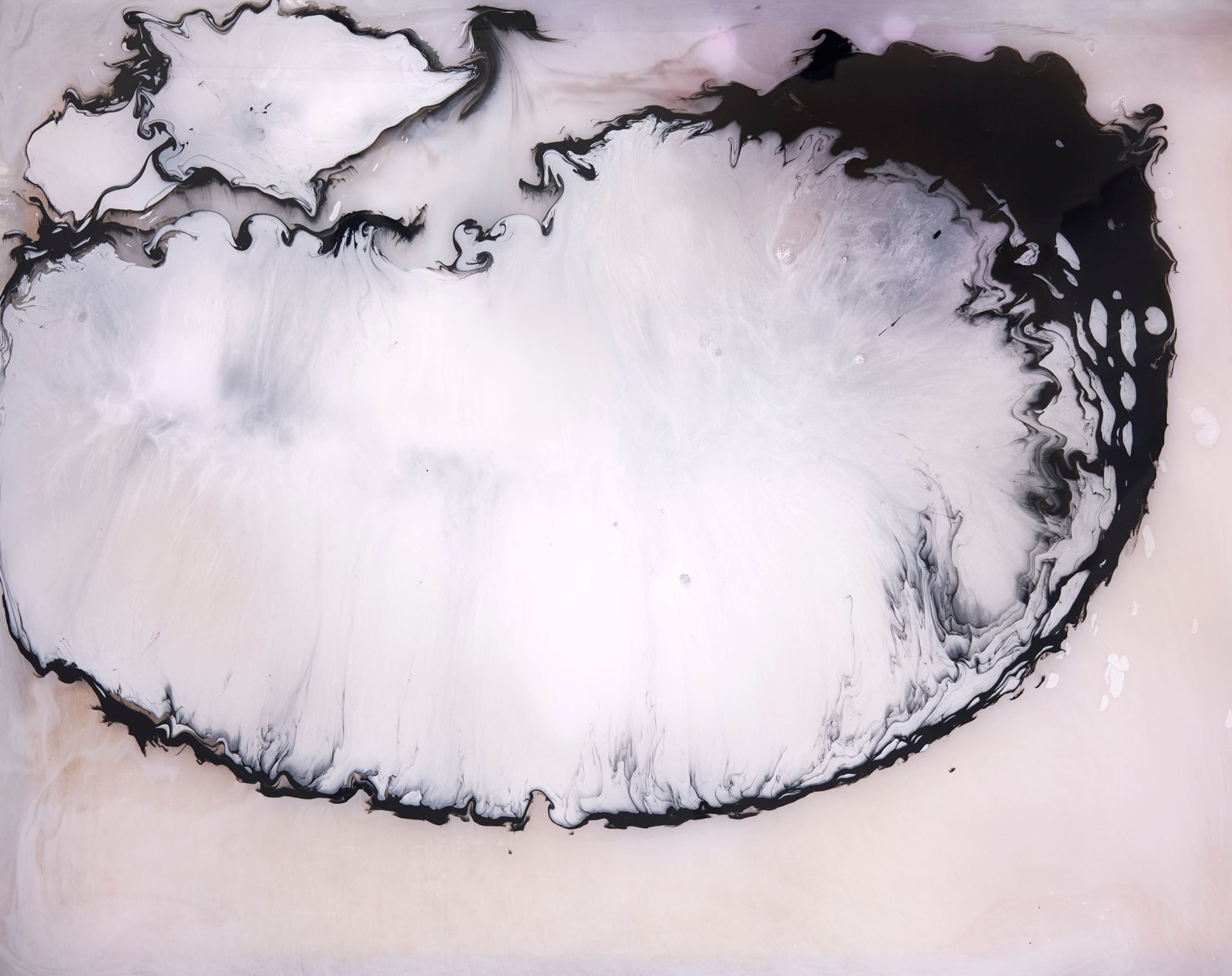 Paula Crown, kinematic, 2019