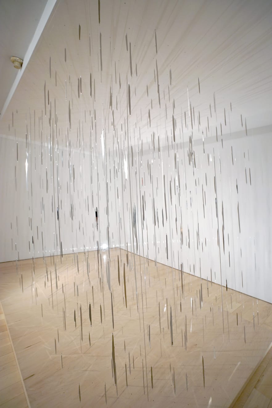 Paula Crown, FREEZING RAIN, 2016