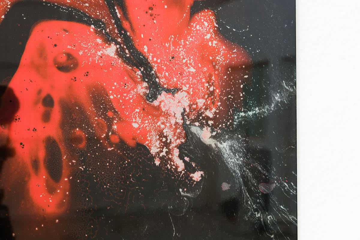 Paula Crown, kinematic, 2019