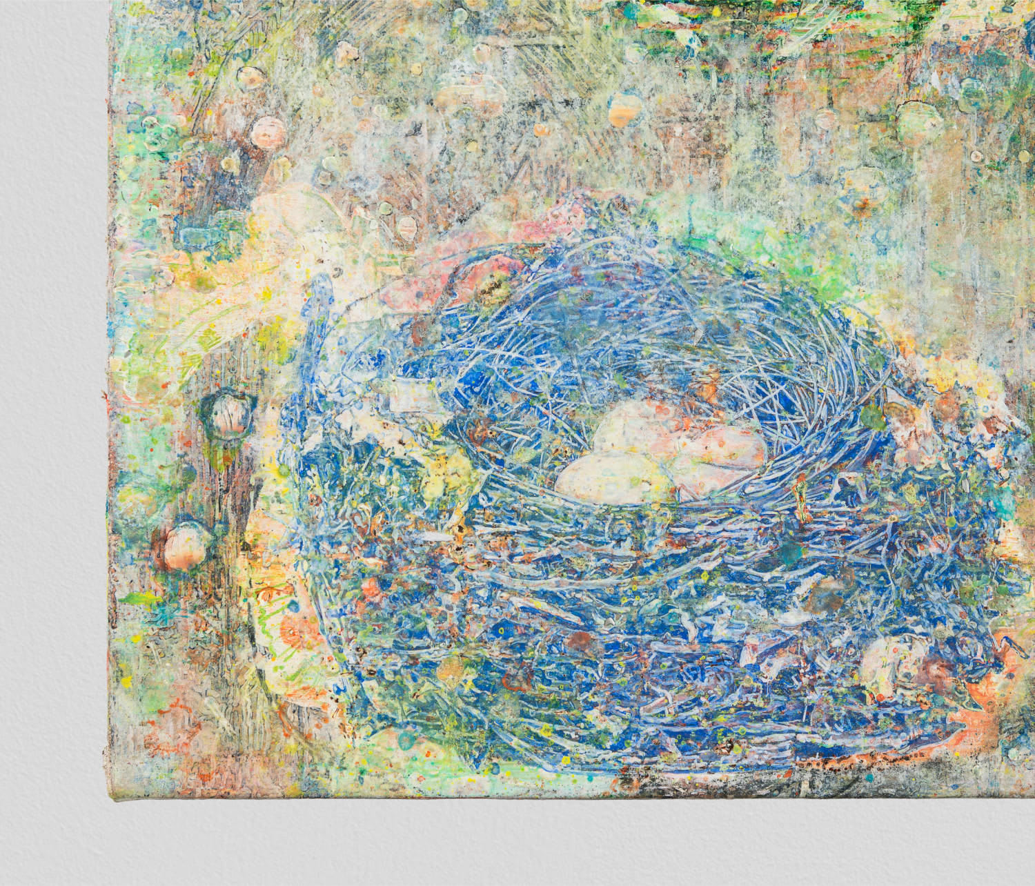 Donal Moloney, Pluto is not a Planet, 2024