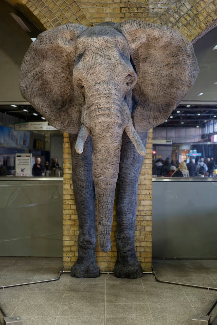 Kendra Haste MRSS, Elephant (Relief), 2000-16
