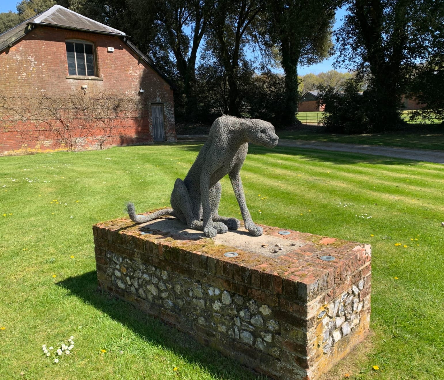 Kendra Haste MRSS, Seated Cheetah, 2003