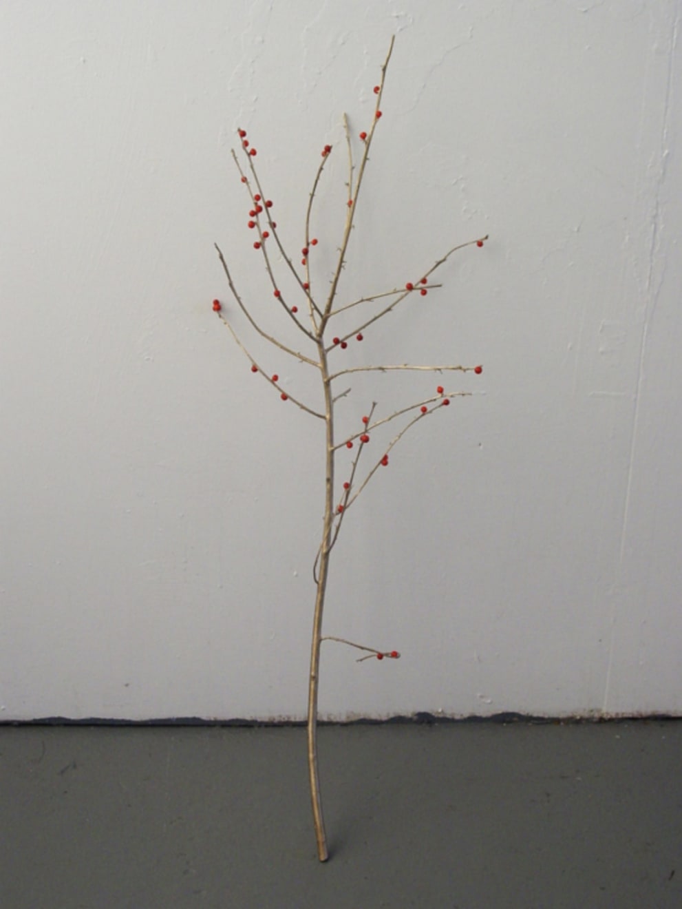 Anya Gallaccio, Twig, 2005