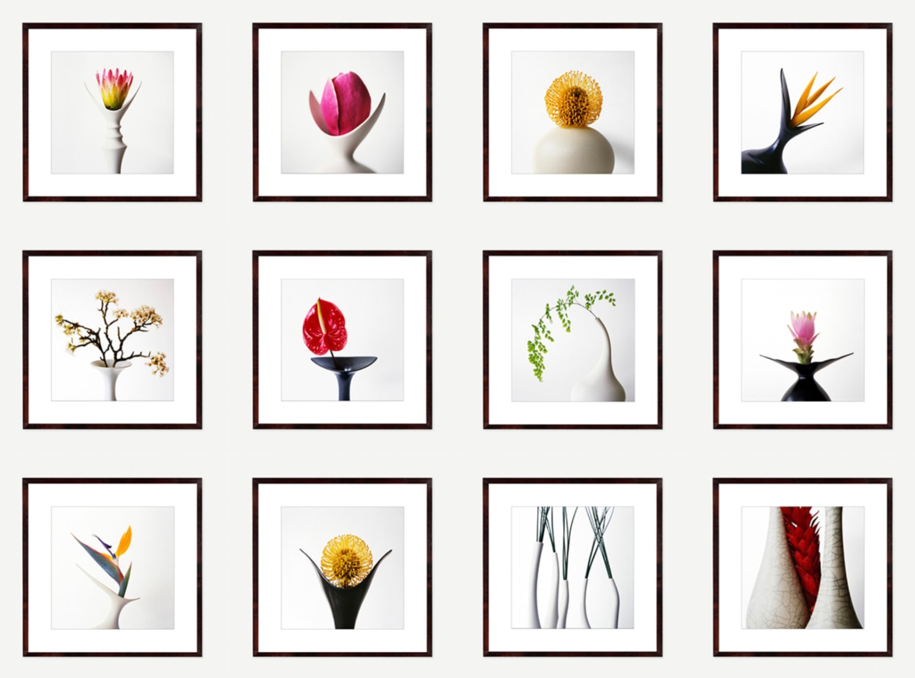 Vivienne Foley (Photography), Strelitzia in Blackbird Vase, 1998