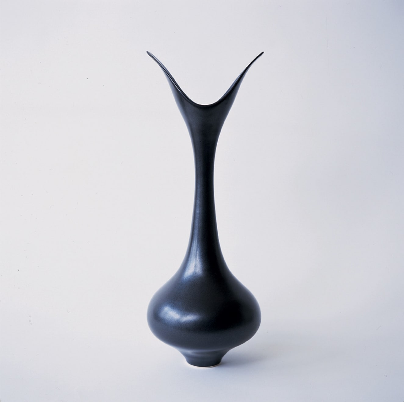 Vivienne Foley (Ceramics & Bronze), Tulip, 2004