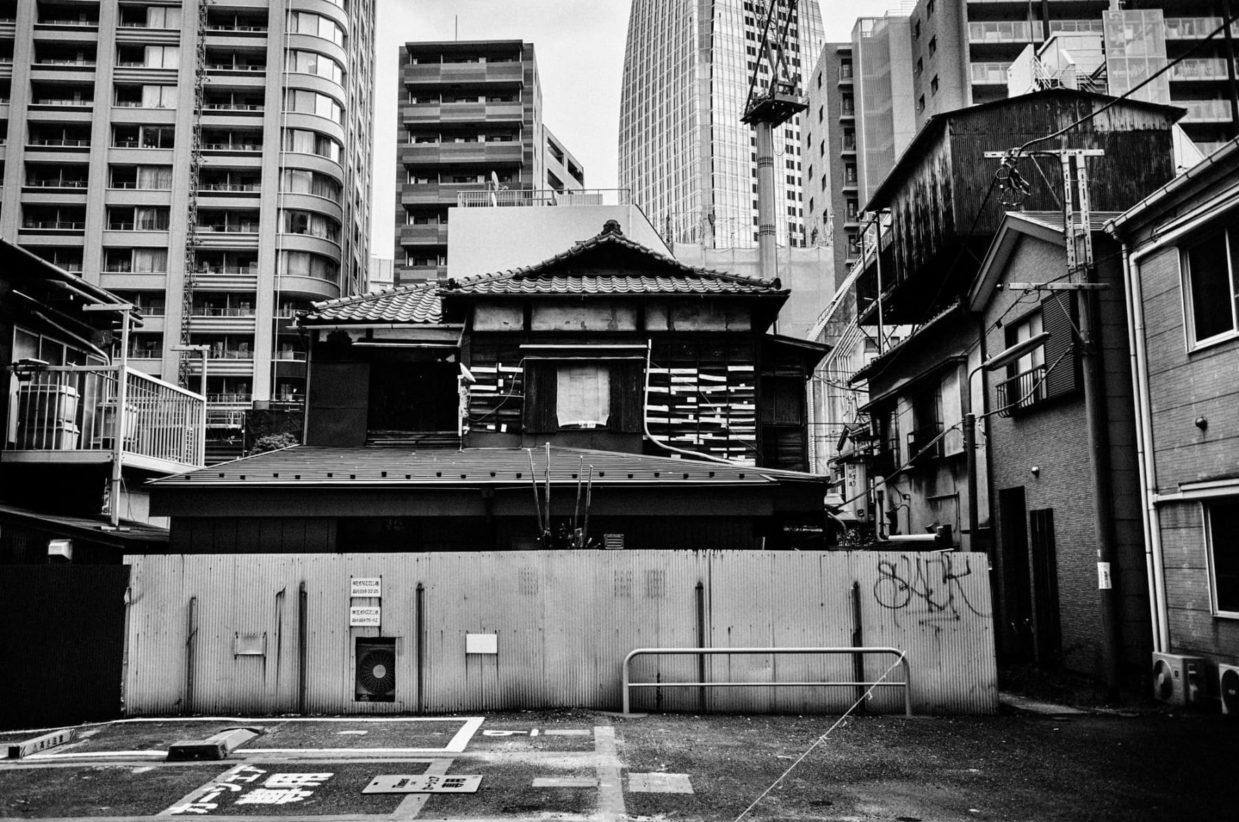 PHIL PENMAN, Tokyo Series 006, 2023