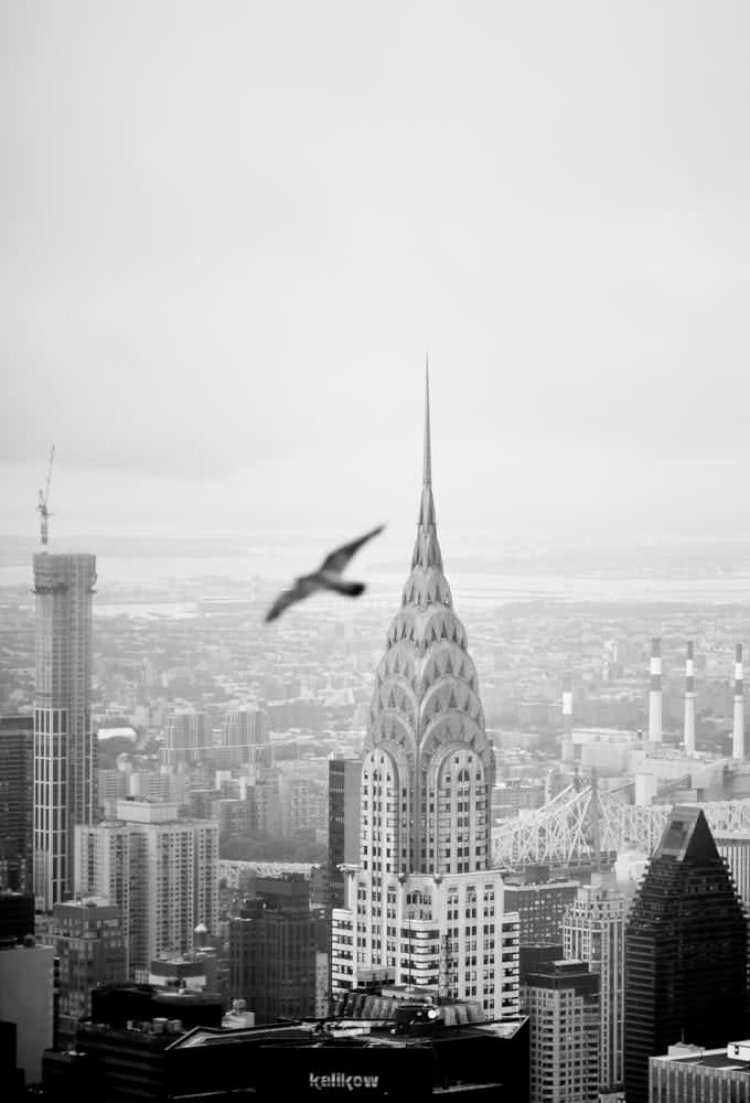 PHIL PENMAN, The Chrysler #9, 2020