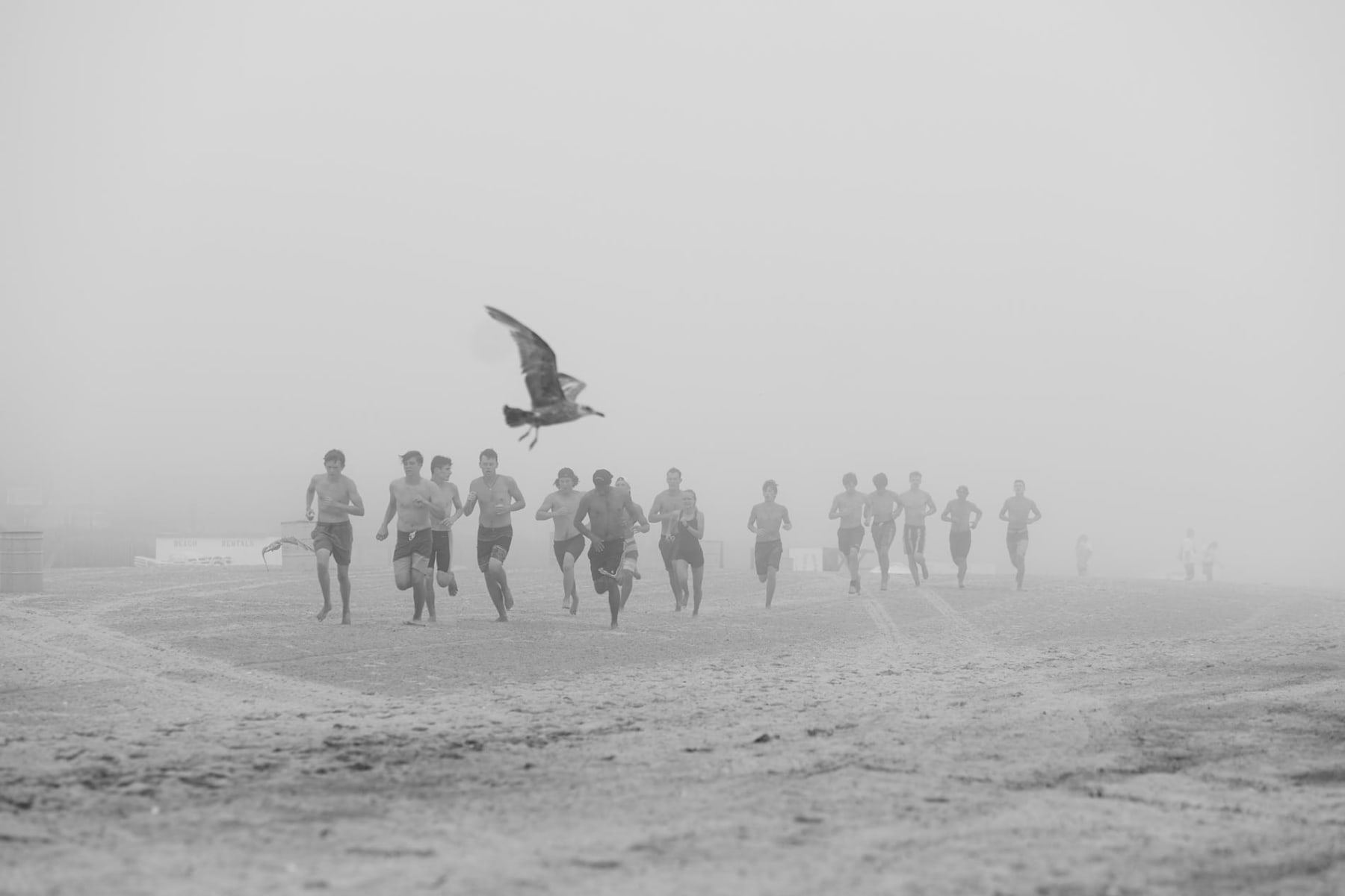 PHIL PENMAN, ATLANTIC CITY, NEW JERSEY, 2019