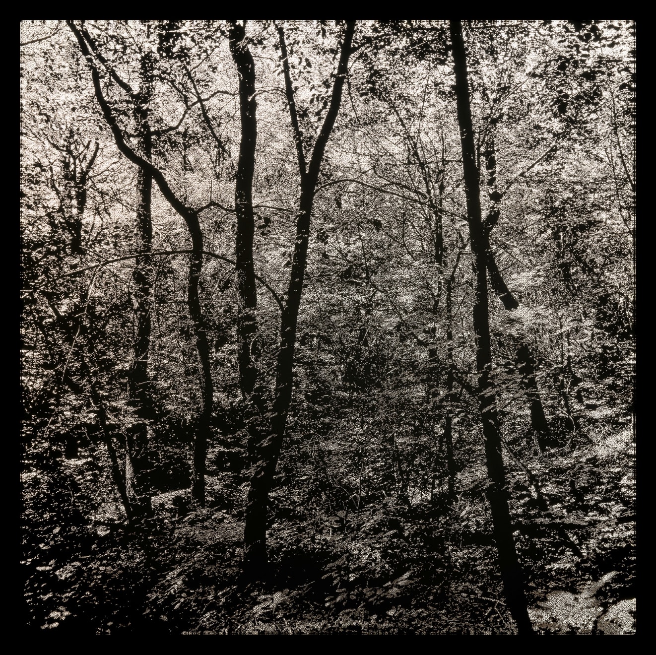 Choi Soowhan, Emptiness_ansan 06, 2024