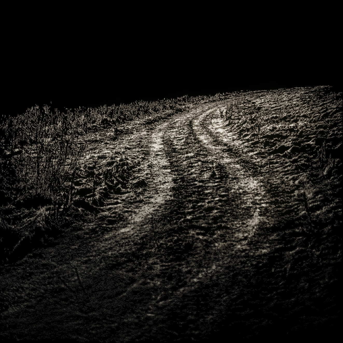 Choi Soowhan, Emptiness_path 01, 2021