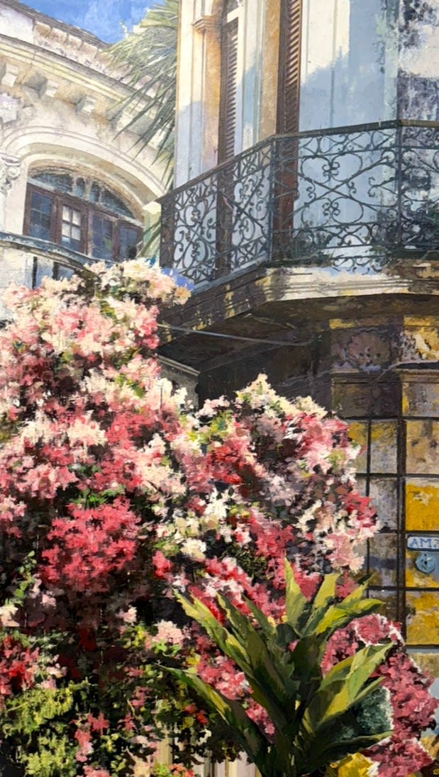 Matteo Massagrande, Bouganville, 2025