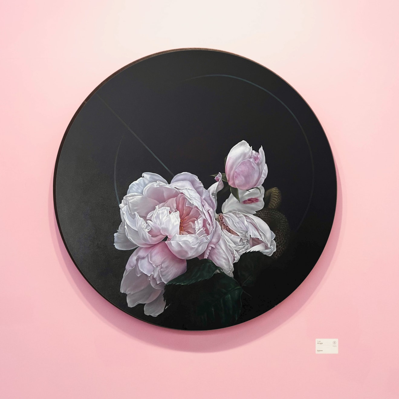 Yuki Aruga, Without End, 2023