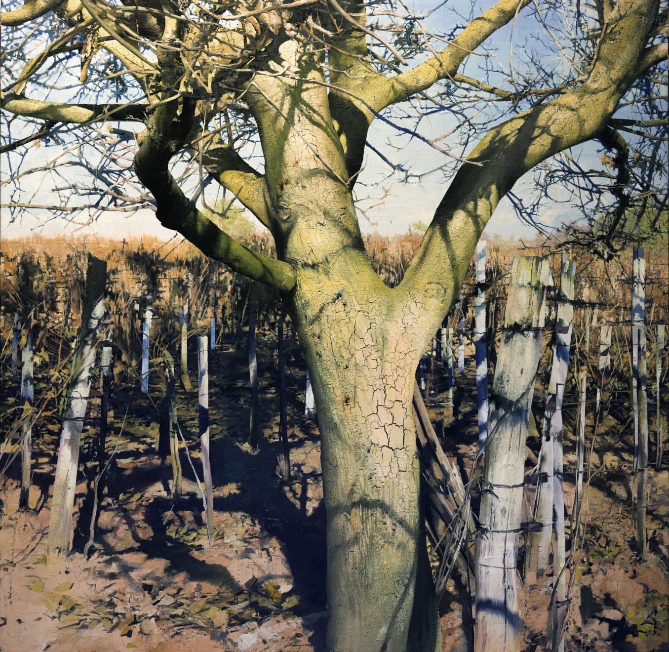 Matteo Massagrande, Melo d'inverno, 2019