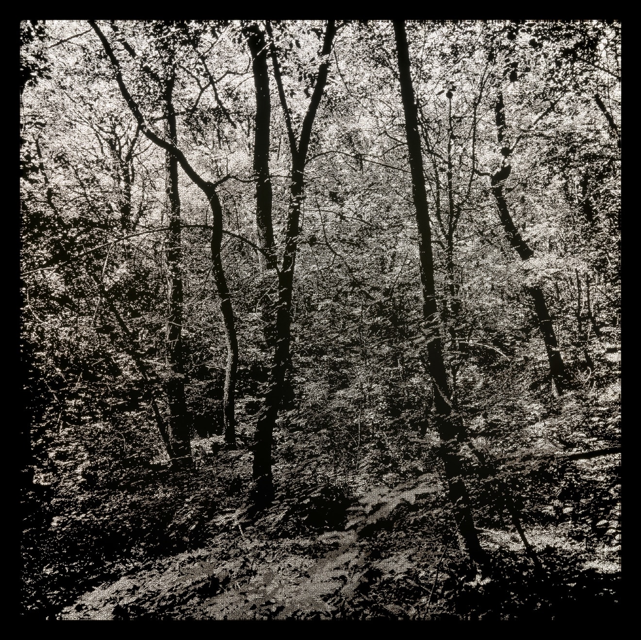 Choi Soowhan, Emptiness_ansan 05, 2024