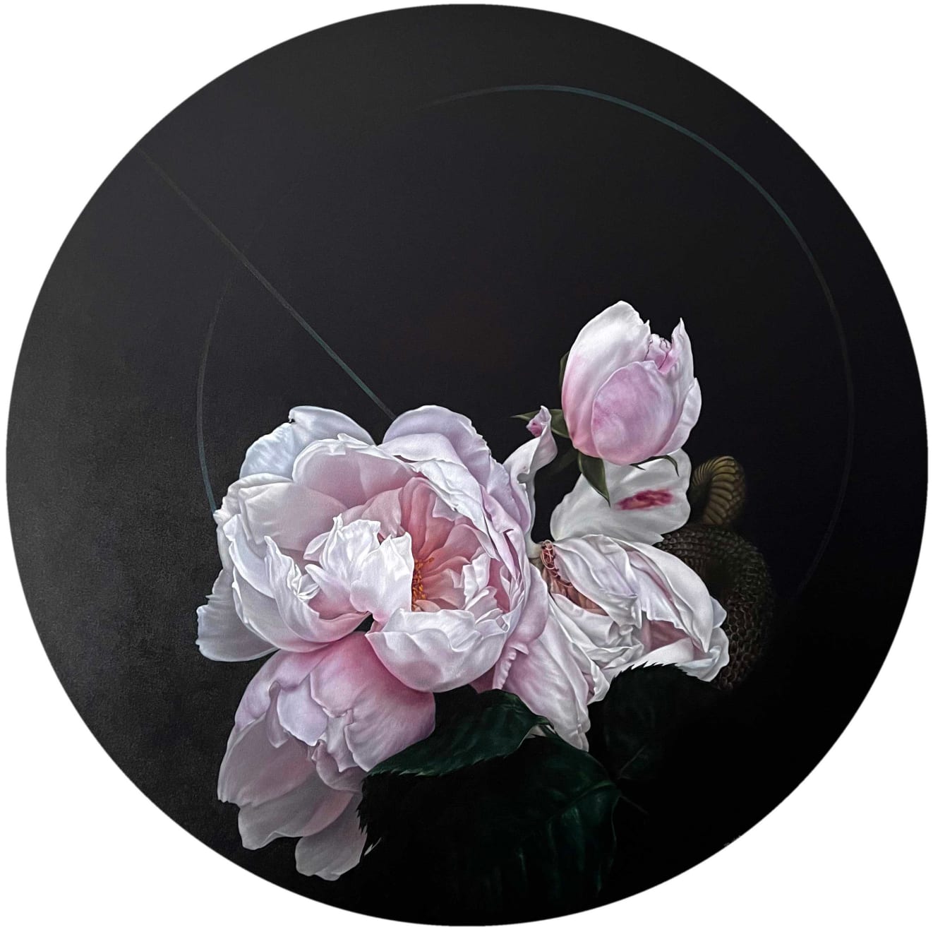 Yuki Aruga, Without End, 2023