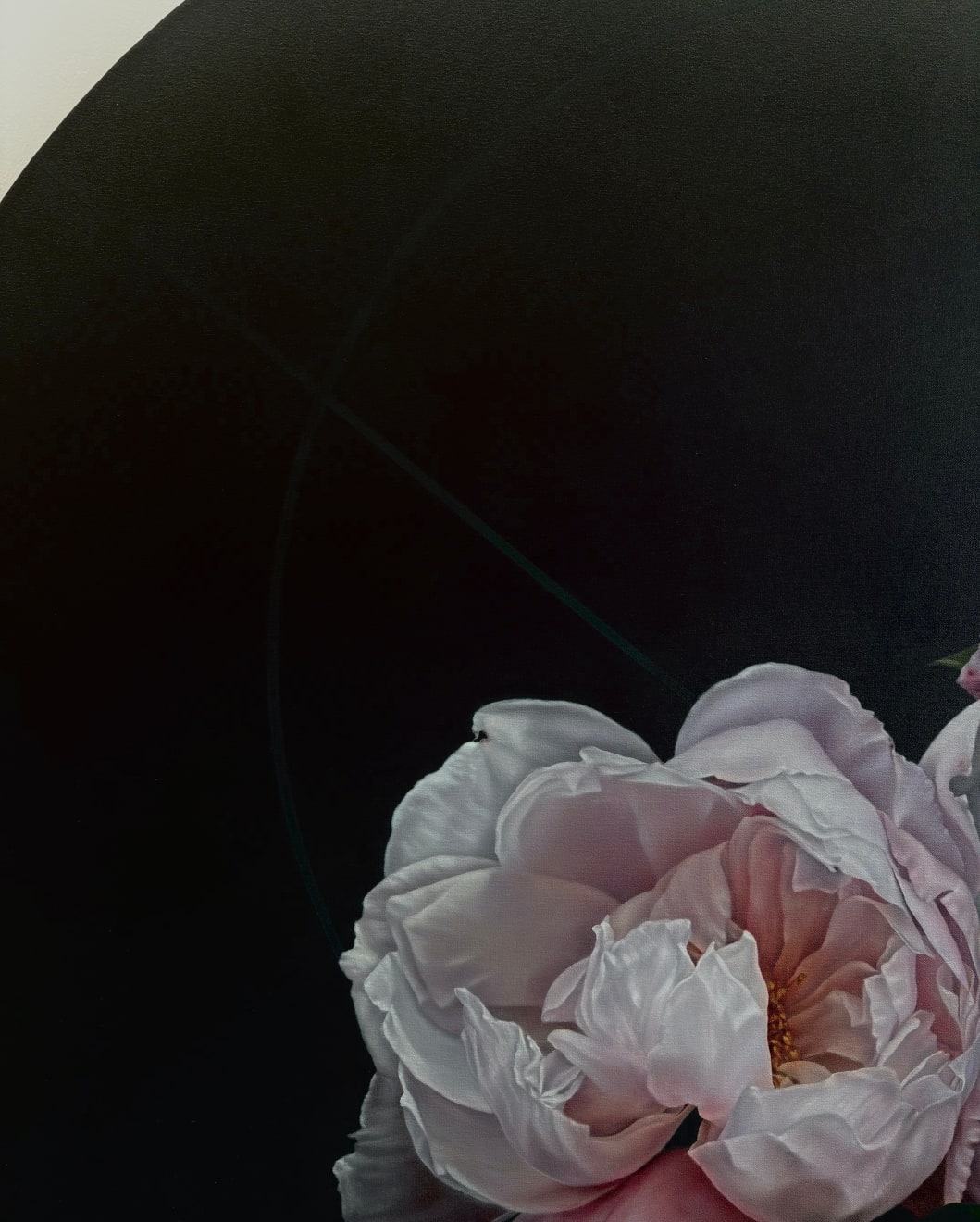 Yuki Aruga, Without End, 2023