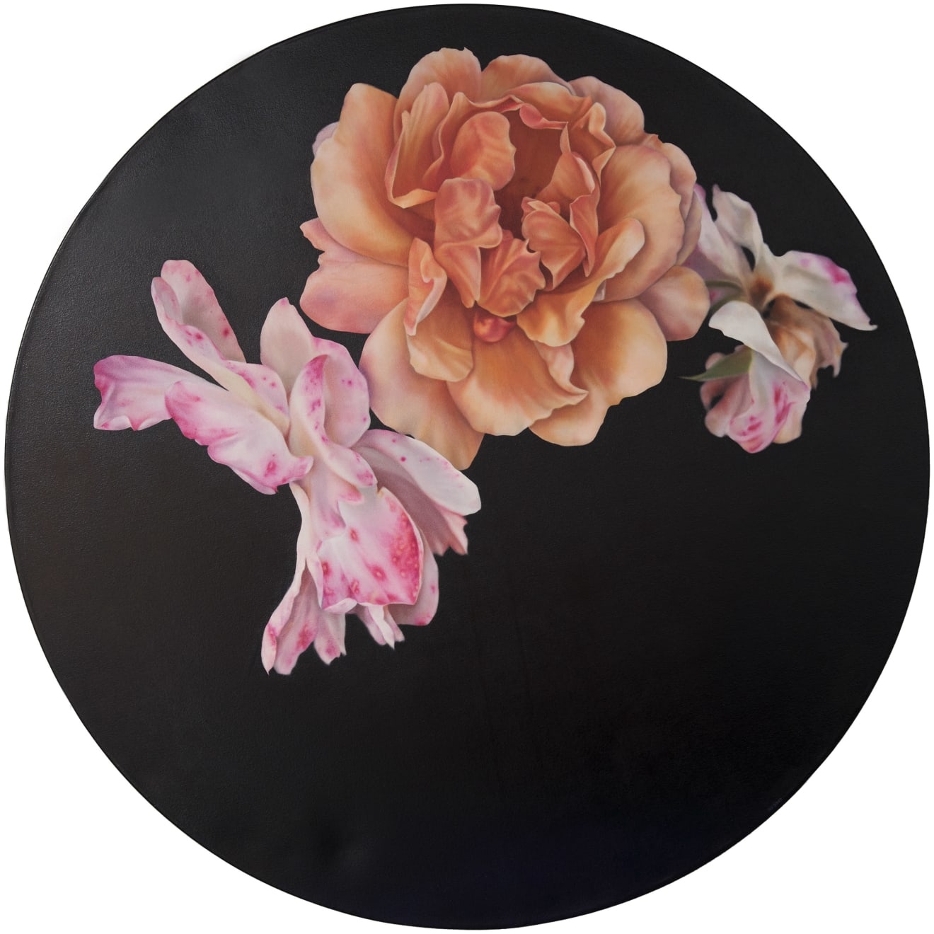 Yuki Aruga, Sundogs, 2022