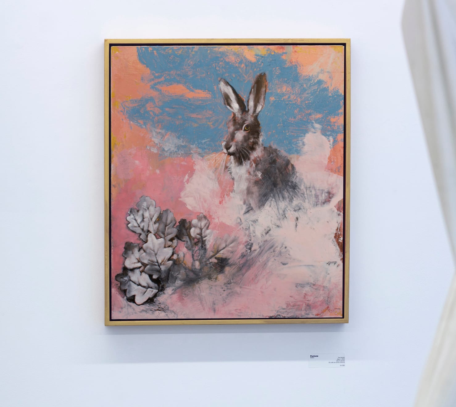 Tim Wright, Hare 1, 2023