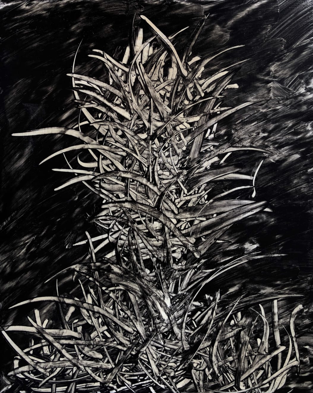 Emil Alzamora, Falconer, 2019