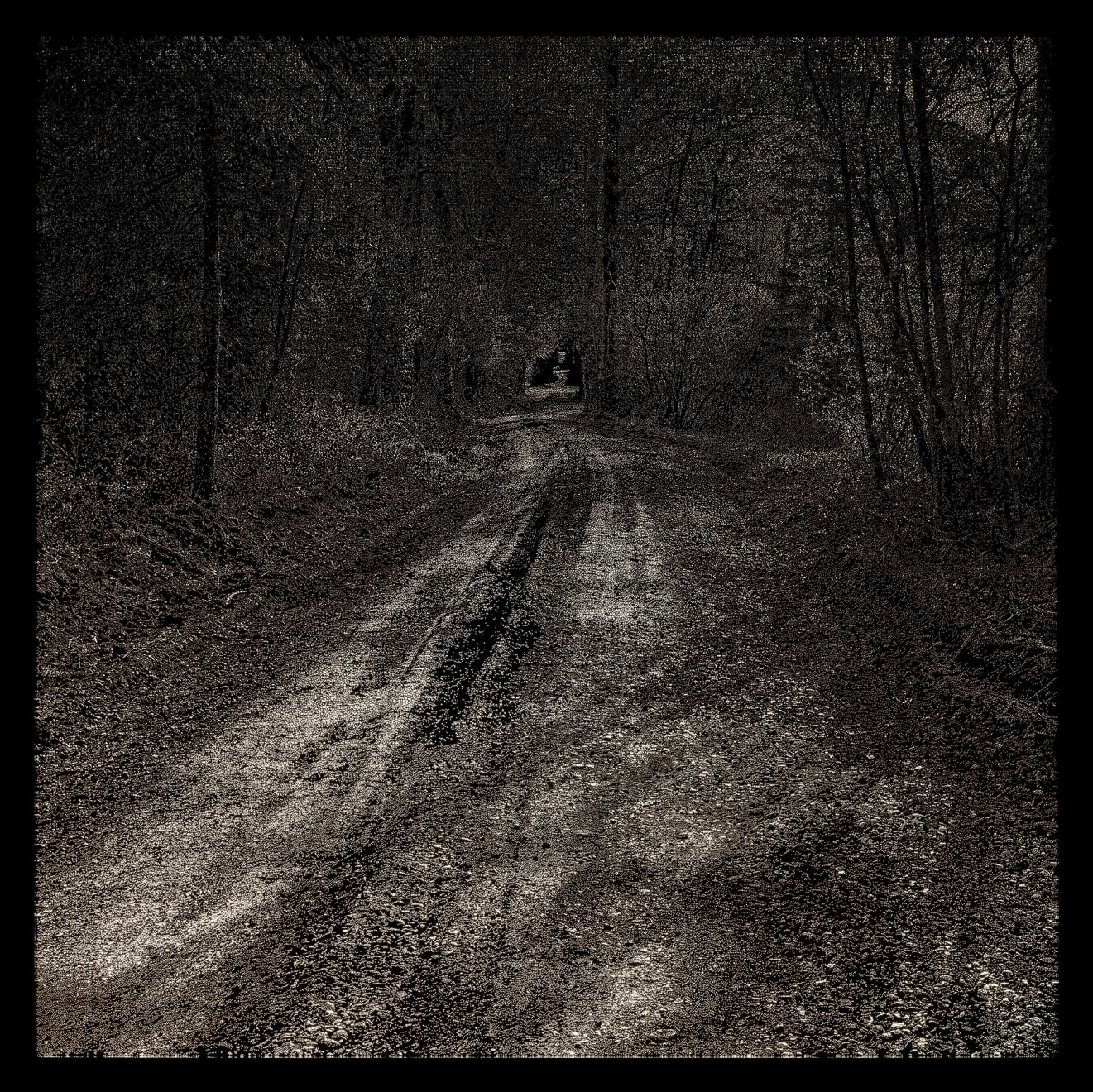 Choi Soowhan, Emptiness_forest path 05, 2024