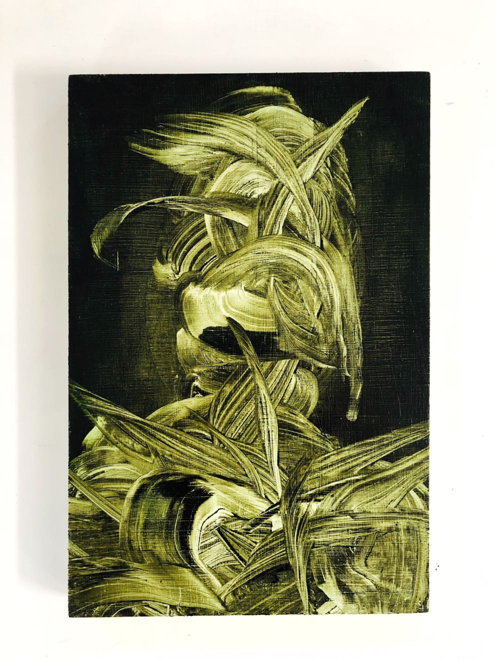 Emil Alzamora, Usnea, 2020