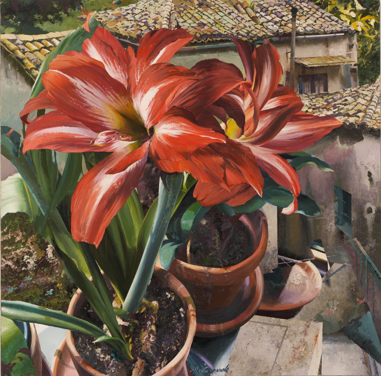 Matteo Massagrande, Amarillis, 2025