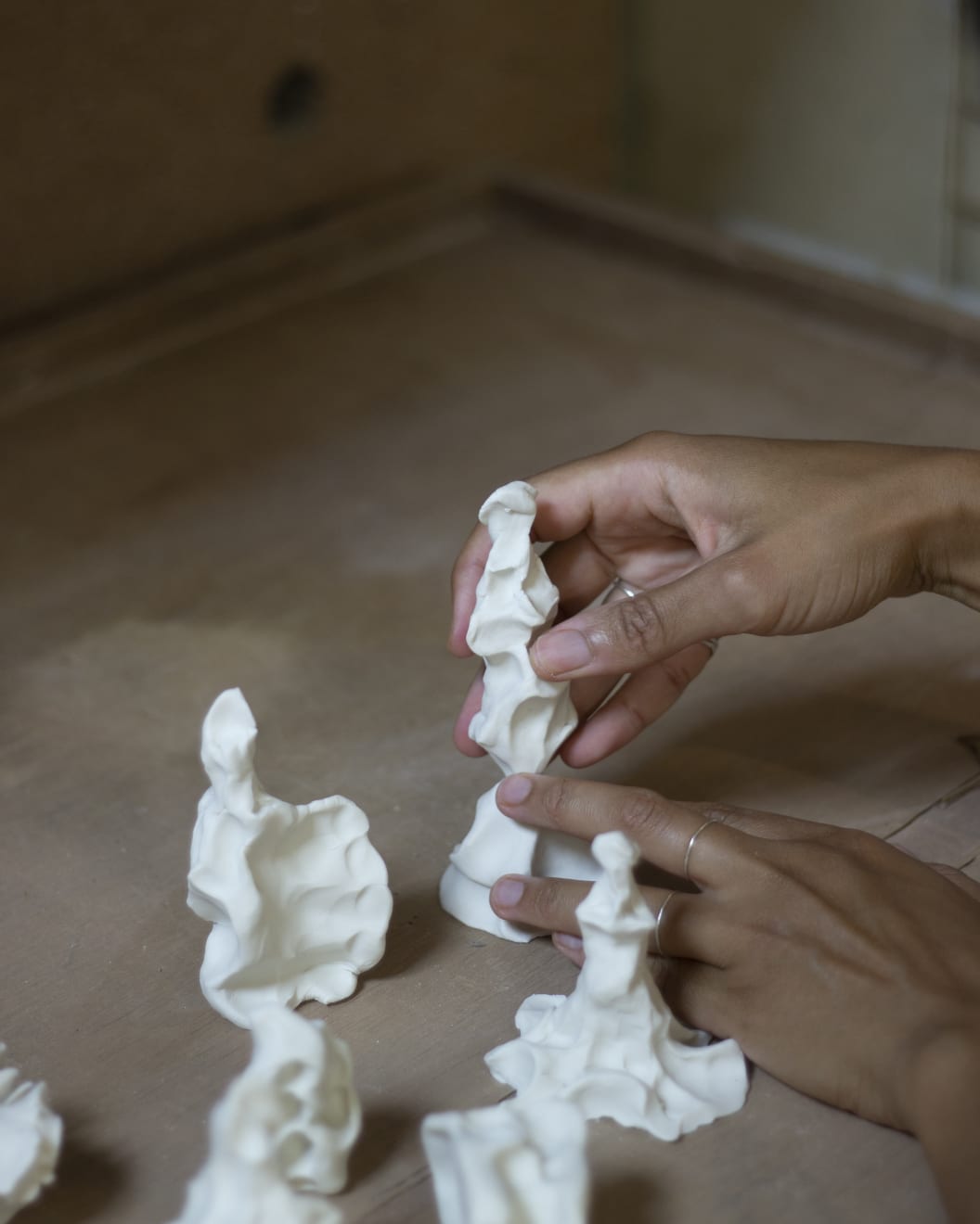 Bisila Noha, Studies in Porcelain, 2022